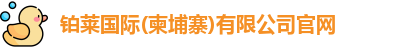 铂莱国际